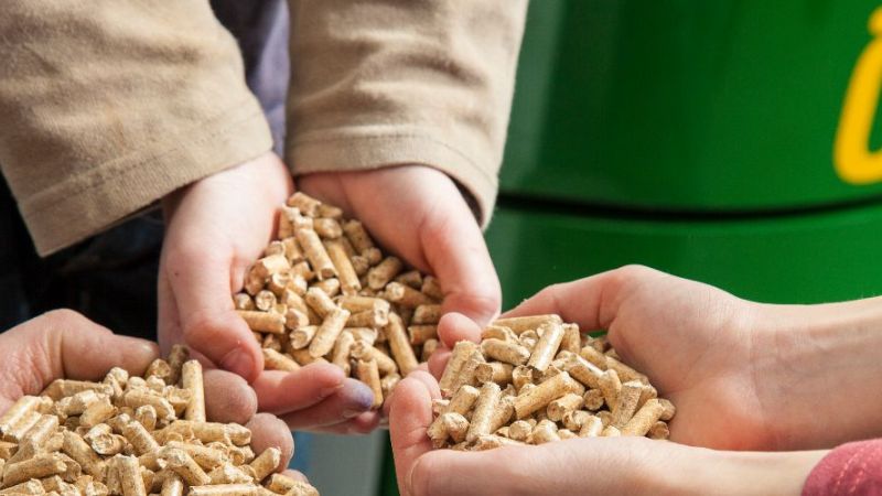 The symbol photo shows wood pellets in the hands of three persons.