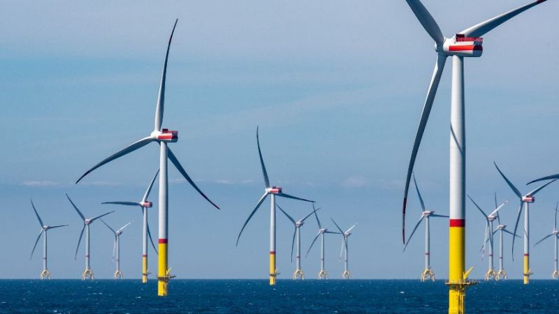 The photo shows wind turbines at sea.