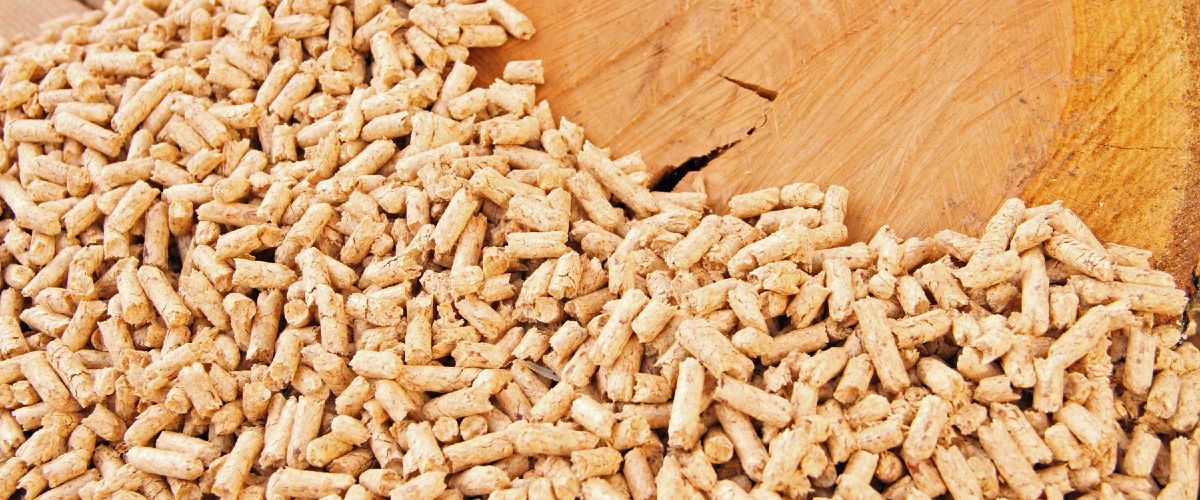 New mini combined heat and power generation system (CHP) with Stirling engine can use a variety of fuels, such as wood waste.