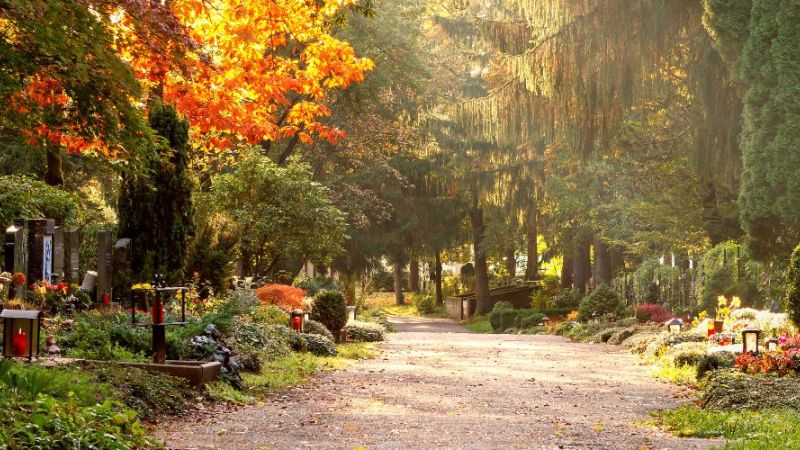 Blick über einen Friedhof im Herbstlicht