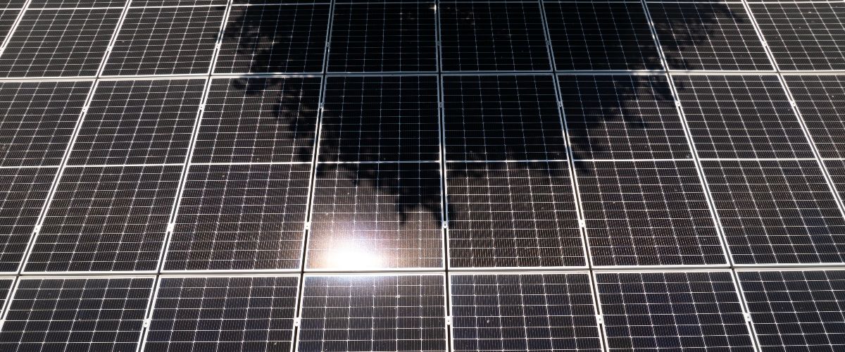 Schattenresistente Photovoltaikmodule liefern auch bei Verschattungen, beispielsweise durch B&auml;ume, weiterhin Energie. (Symbolfoto)