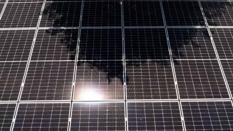 Schattenresistente Photovoltaikmodule liefern auch bei Verschattungen, beispielsweise durch Bäume, weiterhin Energie. (Symbolfoto)