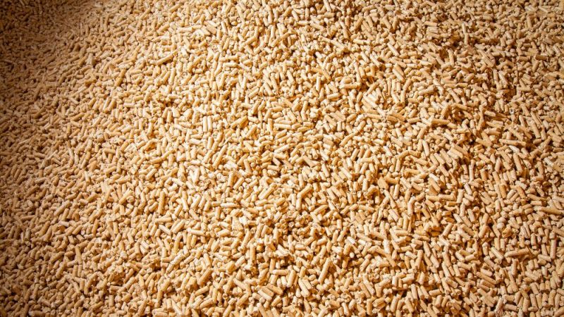 The PlusEnergy building is heated with wood pellets, among other things.