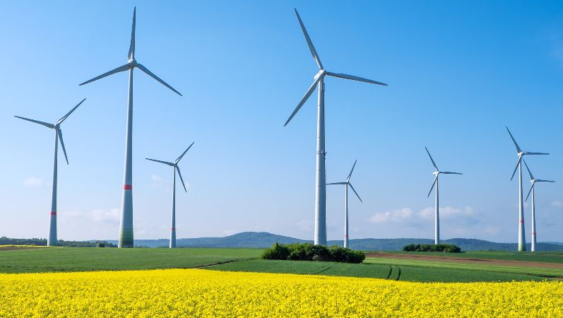 Strategisches Supply Chain Design lohnt sich: Energieeffiziente Wertschöpfungsketten könnten so viel Energie einsparen, wie 40.000 Windräder jährlich produzieren. Windräder auf einem Feld vor blauem Himmel, im Vordergrund gelbe Blüten