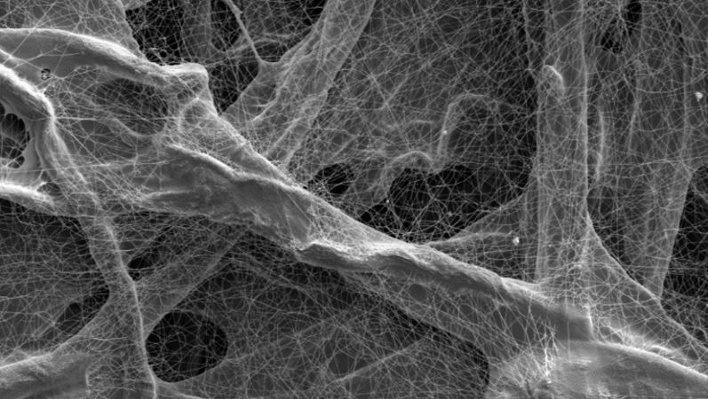 Das Filtermedium aus Zellulose-Fasern mit Nanofaser-beschichtung hat noch keine Staubpartikel aufgenommen. Im Inneren eines Filtermediums aus Zellulose-Fasern mit Nanofaserbeschichtung: Der Filter hat noch keine Staubpartikel aufgenommen.