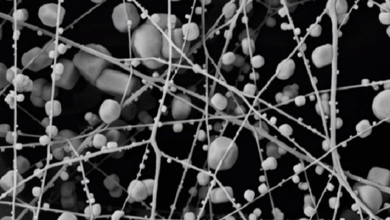 Blick ins Innere eines Filters: An der Nanofaserstruktur haben sich Natrium-Chlorid (NaCl)-Partikel abgelagert. Mikroskop-Aufnahme eines Filters: An einer Nanofaserstruktur haben sich Natrium-Chlorid (NaCl)-Partikel abgelagert.