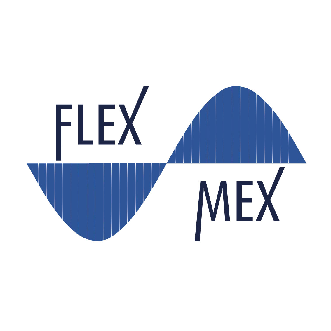 Logo FlexMex