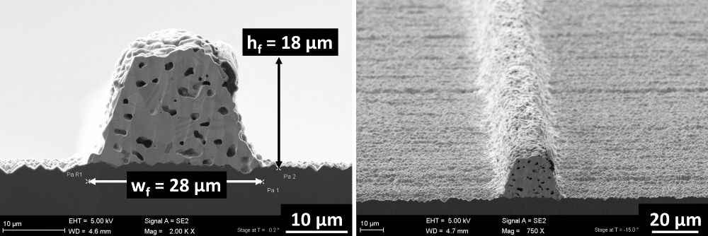 Rasterelektronenmikroskop-Aufnahme eines Feinlinien-Kontaktfingers auf – im Rahmen des Projekts AdmMo – metallisierten PERC-Solarzellen.