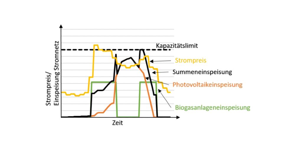 Optimised daily load profile of a distribution grid.