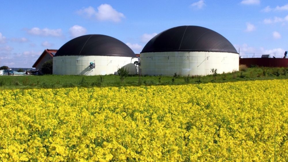 Biogasanlage vor einem Rapsfeld