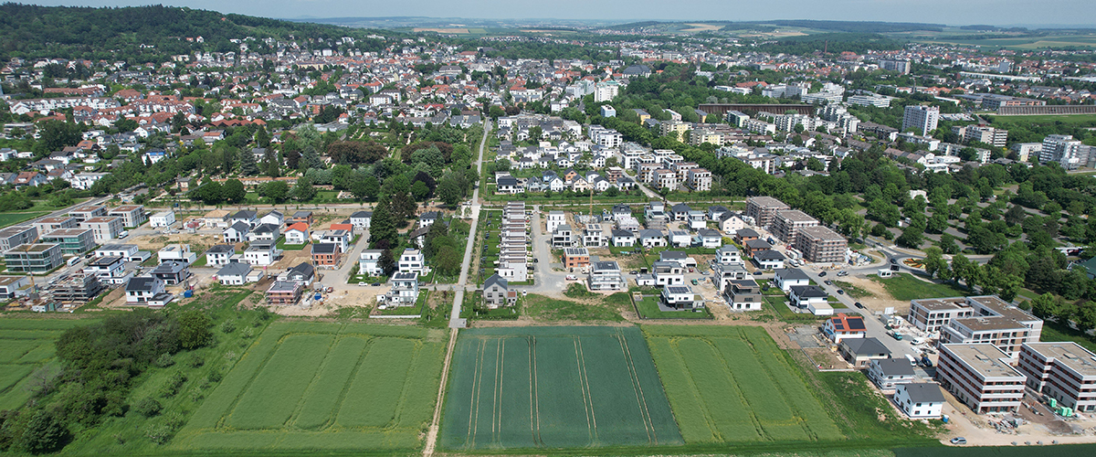 Kollektorfeld im Acker