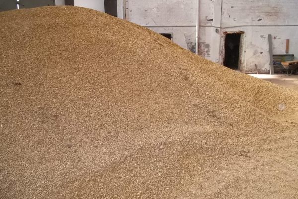Großcharge der NaOH-Strohpellets im BGA-Lager.