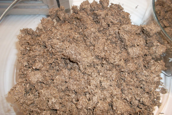 Separierter und getrockneter Brennstoff aus dem Gärrest.