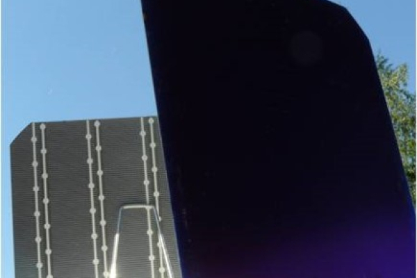 Bifacial ZEBRA solar cell in front of a mirror: the metal contacts are visible in the mirror image.
