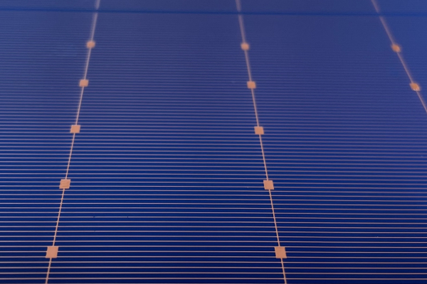Solarzelle mit siebgedruckter Kupferpastenmetallisierung