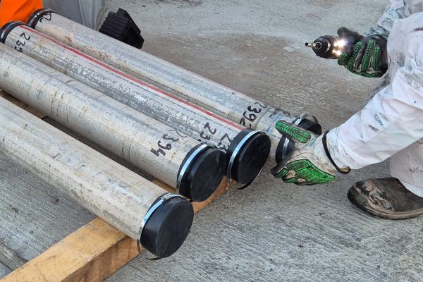 The samples were cut into small pieces on site and then transported to the University of Göttingen for further analysis. 